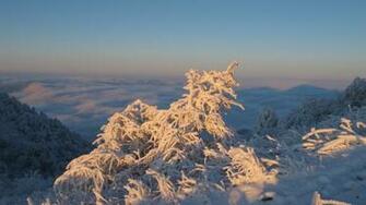 Wallpaper Winter Desktop Snow Definition High