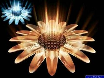 Definition Wallpaper Love Your Desktop 3d Brown Flower