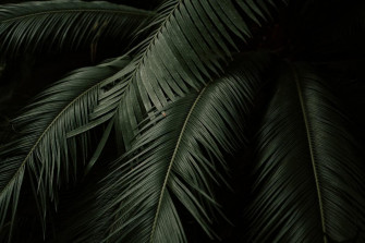 Beautiful Minimal Desktop And Laptop Wallpaper For Minimalist