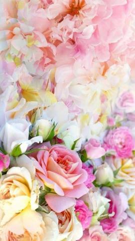 Chill At Home Floral Wallpaper Flower Beautiful