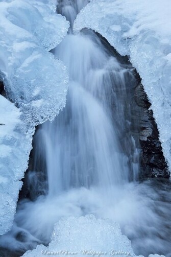 iPhone Wallpaper Zing Nature Smartphone Gallery