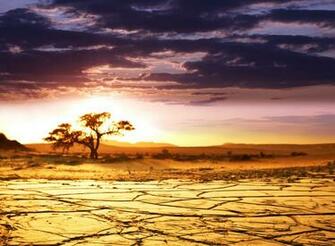 Wallpaper Africa Savannah Landscape Horizon