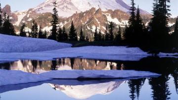 Mt Rainier Wallpaper Teahub Io