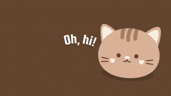 Collection Of Adorable Wallpaper Image In Full 4k Resolution