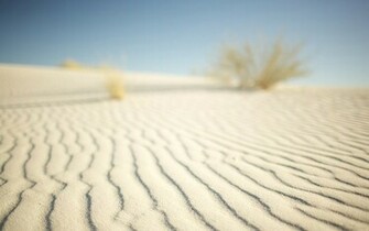 White Sands Pack