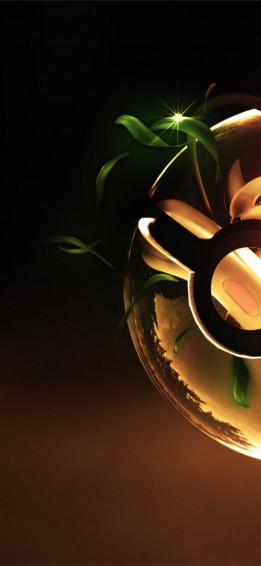 Raichu Wallpaper For iPad