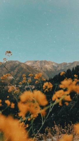 Lluosmaro On Picturessss Aesthetic Background Nature