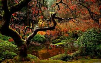 Japanese Garden Desktop Wallpaper