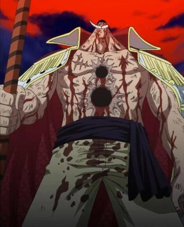 Barbe Blanche One Piece Photos