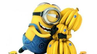 Despicable Me Wallpaper1920x1080 Wallpaper Screensaver