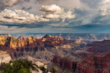 Thysweetpoison On Momentum Background Grand Canyon