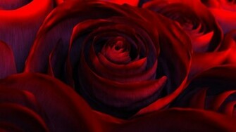 Deep Red Wallpaper
