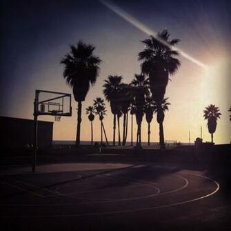 Venice Beach Basketball Court I Love This Game Street
