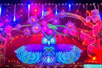 Electric Daisy Carnival Las Vegas Nevada Photos Wallpaper The