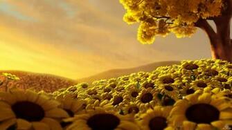 Yellow Beauty Nature Wallpaper Background Photos High