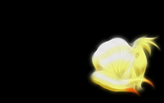 Pokemon Ninetails Wallpaper