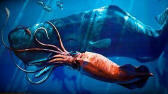 Giant Squid Wallpaper Weddingdressin
