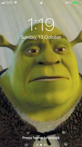 This Has Been My Wallpaper For A Very Long Time R Shrek