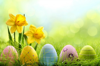 Holiday Easter Egg HD Celebrations 4k Wallpaper Image