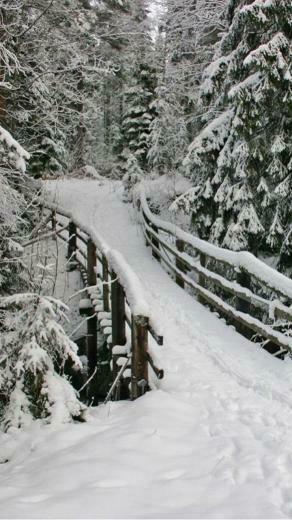 Winter iPhone Wallpaper