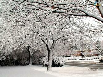 Winter Wallpaper