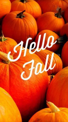 Fall iPhone Wallpaper