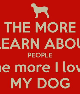 Go Back Gallery For I Love Dogs Wallpaper