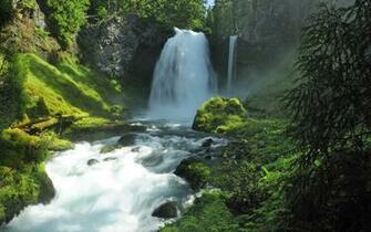 Forest Stream Wallpaper And Image Pictures Photos