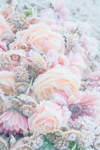 Frozen Flowers