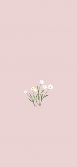 Aesthetic Minimalist Wallpaper Flower