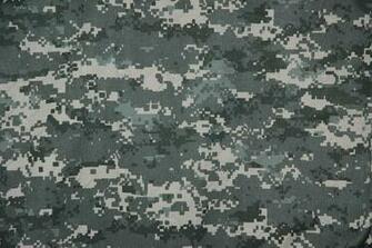 Digitalcamo Jpg