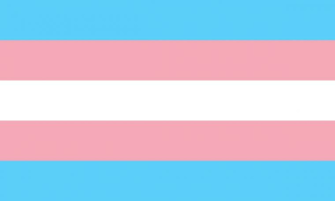 History Of Transgender People In The United States Wikipedia