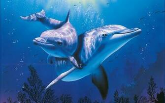 Dolphin Computer Wallpaper Desktop Background Id