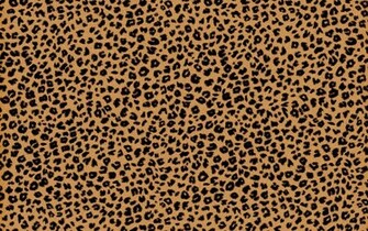 Cheetah Background Jpg