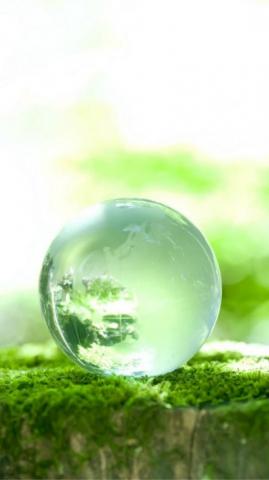Pure Crystal Cyan Glass Ball Moss Macro iPhone Wallpaper