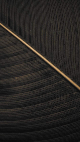 iPhone Wallpaper Dark