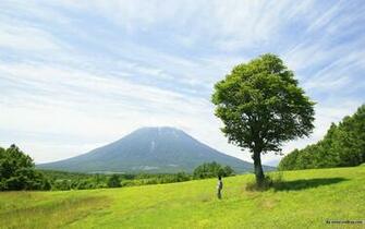 The Nature Outdoor Relaxation Wallpaper No