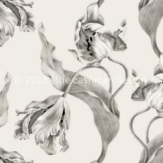 Ellie Cashman Wallpaper Archives Of The Wonder In Us