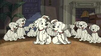 Dalmatians Wallpaper