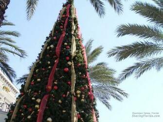 Christmas Wallpaper Florida And Background