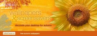 Wallpaper Screensavers