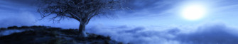 Triple Monitor Screen Wallpaper Nature Blue Tree Arbre