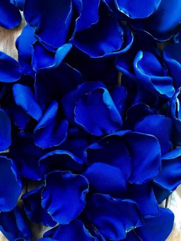 Best Royal Blue Wallpaper Ideas