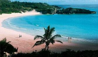Bermuda Wallpaper Video Game Hq Pictures 4k