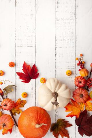 Gourds And Leaves iPhone Wallpaper Fall