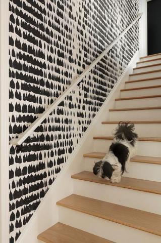 Home Inspirations