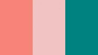 Pictures Tea Rose Orange And Teal Three Color Background