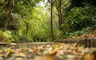 Seasons Autumn Scene In Germany Background Wallpaper Jpg