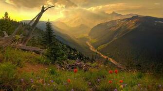 Mount Rainier National Park Wallpaper Nature