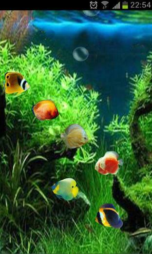 Fish Tank 3d Live Wallpaper Android Apps Games On Brothersoft
